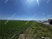 Teren intravilan de 19264 mp situat in zona Industriala Vest 