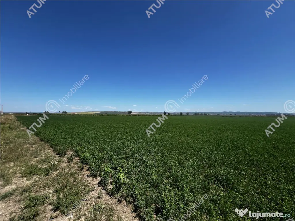Teren intravilan de 19264 mp situat in zona Industriala Vest