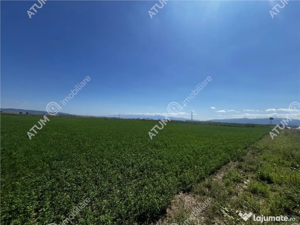 Teren intravilan de 19264 mp situat in zona Industriala Vest
