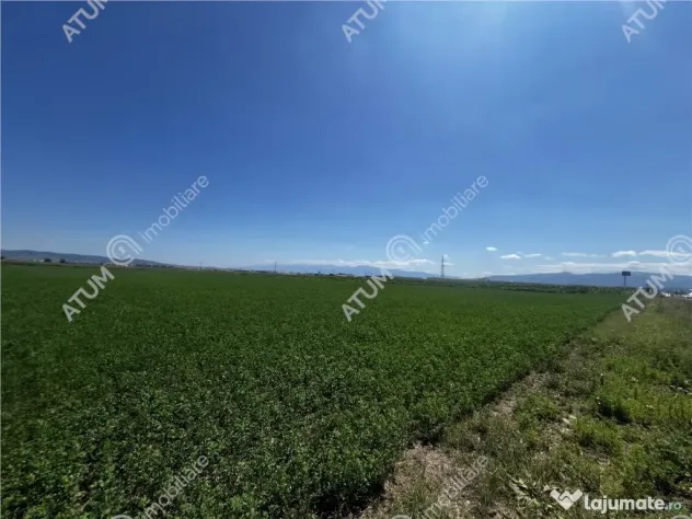 Teren intravilan de 19264 mp situat in zona Industriala Vest