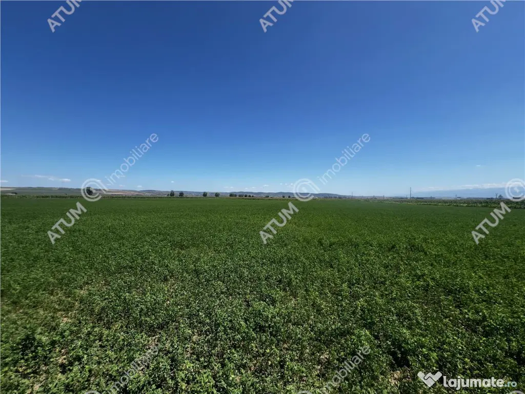 Teren intravilan de 19264 mp situat in zona Industriala Vest