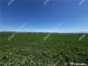 Teren intravilan de 19264 mp situat in zona Industriala Vest 