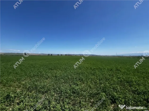 Teren intravilan de 19264 mp situat in zona Industriala Vest