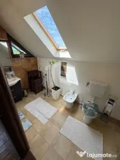 Casa autentixa maramureseana de vanzare in Snagov-Tancabesti 