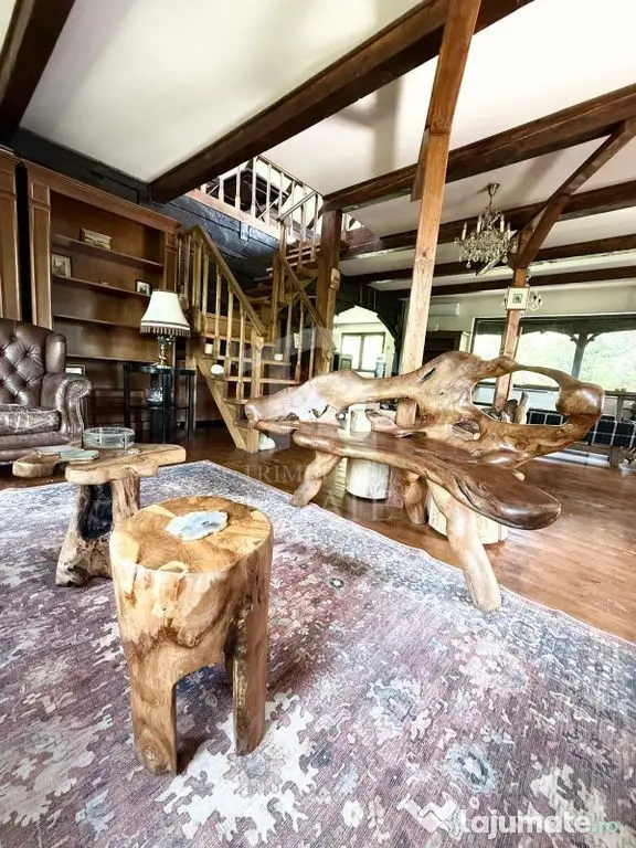 Casa autentixa maramureseana de vanzare in Snagov-Tancabesti