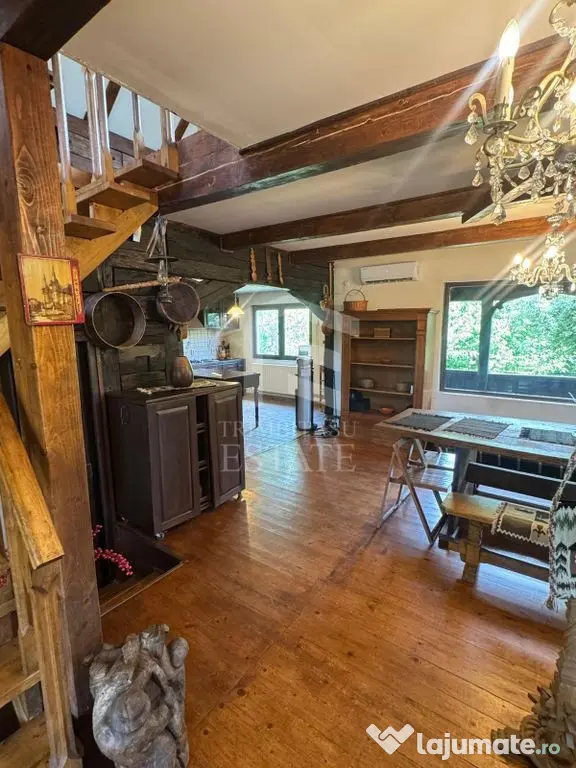 Casa autentixa maramureseana de vanzare in Snagov-Tancabesti