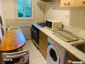 Timpuri noi tineretului parter piscului