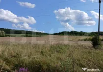 Oportunitate rară in Livezeni| 10 arii de vânzare!