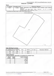 Teren 1 hectar – Intravilan + Extravilan | Acces facil | P 