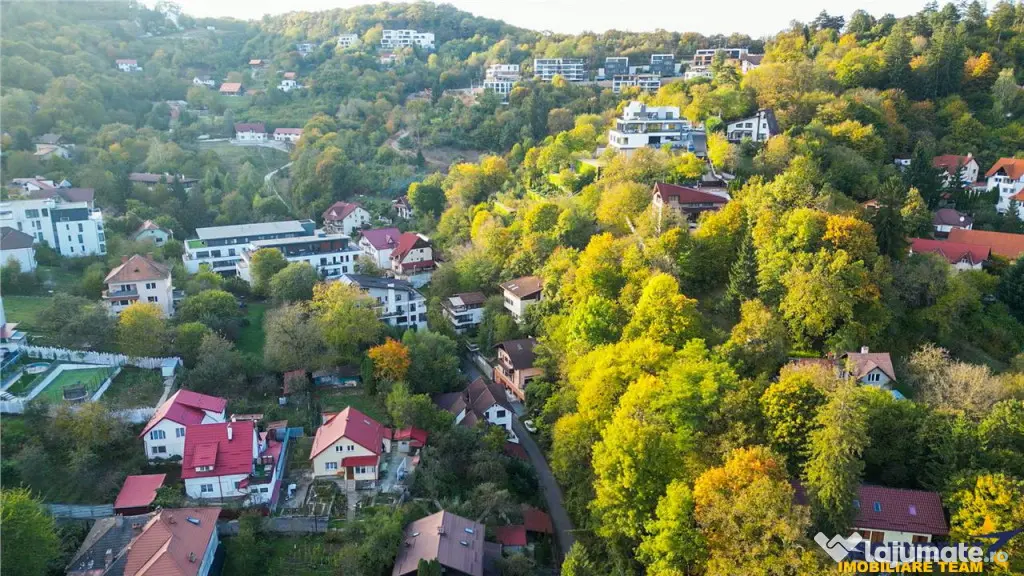 Vila in pretiosul areal: Drumul Poienii .-. Centru Istoric M