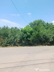 Vand casa locuibila Izvoarele 