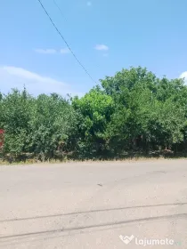 vind casa locuibila