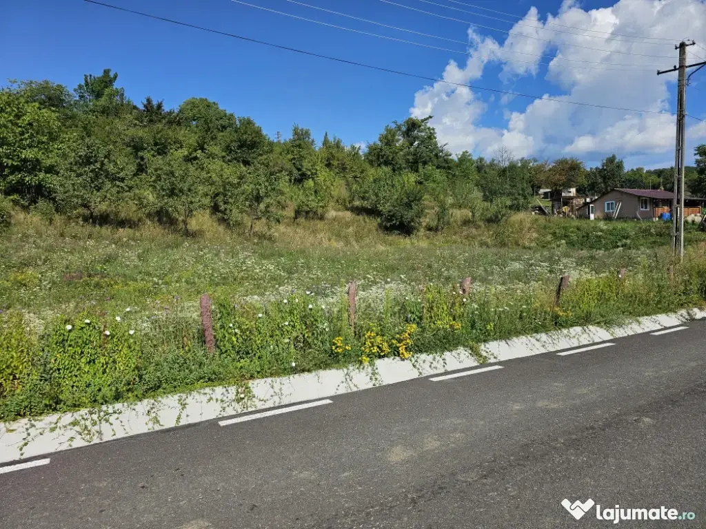 Casa-vila de vănzare loc. Maruntisu, oras Patarlagele, jud. Buzău