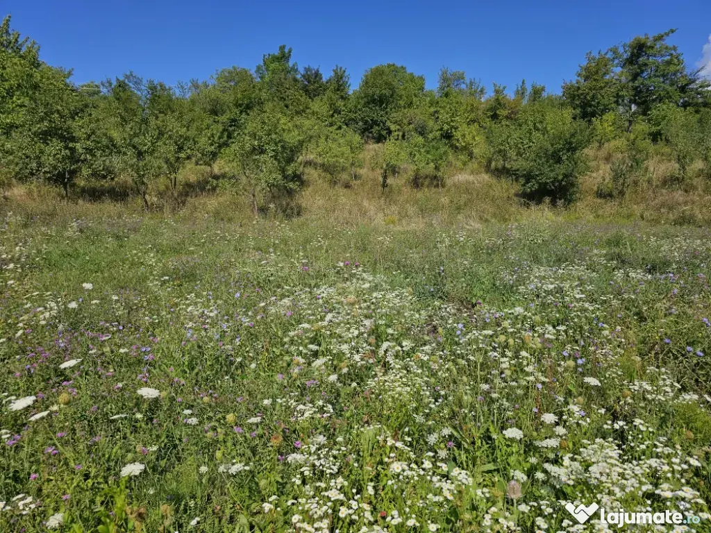 Casa-vila de vănzare loc. Maruntisu, oras Patarlagele, jud. Buzău