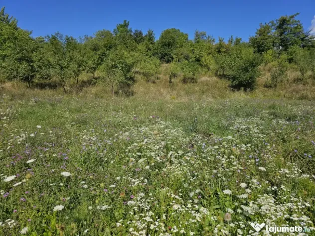 Casa-vila de vănzare loc. Maruntisu, oras Patarlagele, jud. Buzău