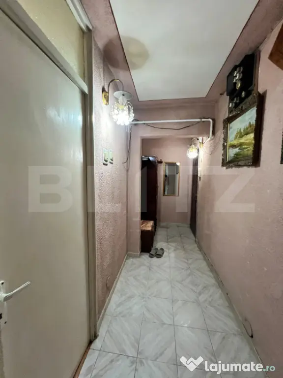 Apartament cu 2 camere în Brazda lui Novac