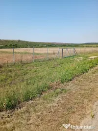 Vand teren in Bencecu de Jos 