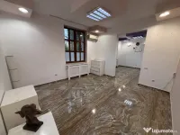 Birou - Parcul Izvorul Rece - Pache Protopopescu 
