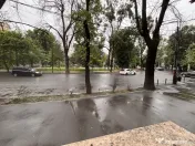 Birou - Parcul Izvorul Rece - Pache Protopopescu 