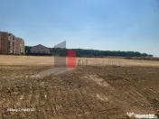 Teren Intravilan Matei Milo 