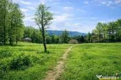 3.000mp de incantare montana cu cabana din lemn masiv, Zarne 