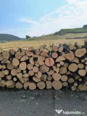 Lemn de foc de calitate 