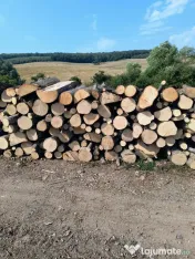Lemn de foc de calitate 