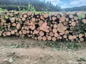 Lemn de foc de calitate 