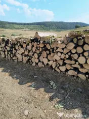 Lemn de foc de calitate 