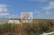 Teren intravilan– 50.000 mp, Bacău, Șoseaua Hol