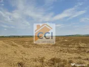 Teren intravilan– 50.000 mp, Bacău, Șoseaua Hol
