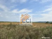 Teren intravilan– 50.000 mp, Bacău, Șoseaua Hol