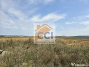 Teren intravilan– 50.000 mp, Bacău, Șoseaua Hol