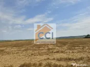 Teren intravilan– 50.000 mp, Bacău, Șoseaua Hol