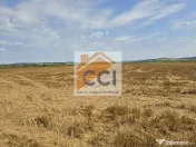 Teren intravilan– 50.000 mp, Bacău, Șoseaua Hol
