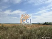 Teren intravilan– 50.000 mp, Bacău, Șoseaua Hol