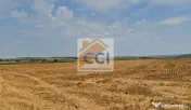 Teren intravilan– 50.000 mp, Bacău, Șoseaua Hol