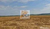 Teren intravilan– 50.000 mp, Bacău, Șoseaua Hol