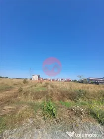 Teren Costinesti 1000 mp, Aproape de Plaja si de Nibiru, Ide