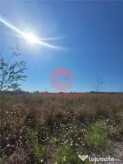 Teren Costinesti 1000 mp, Aproape de Plaja si de Nibiru, Ide