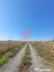 Teren Costinesti 1000 mp, Aproape de Plaja si de Nibiru, Ide
