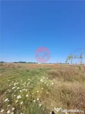 Teren Costinesti 1000 mp, Aproape de Plaja si de Nibiru, Ide