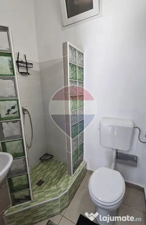 Apartament cu 1 camera la casa in zona ultracentrala
