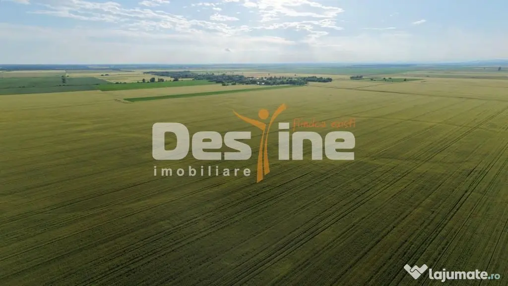 Teren extravilan, neimprejmuit, disponibil imediat, Dumbr... - Dumbrava (Prahova)