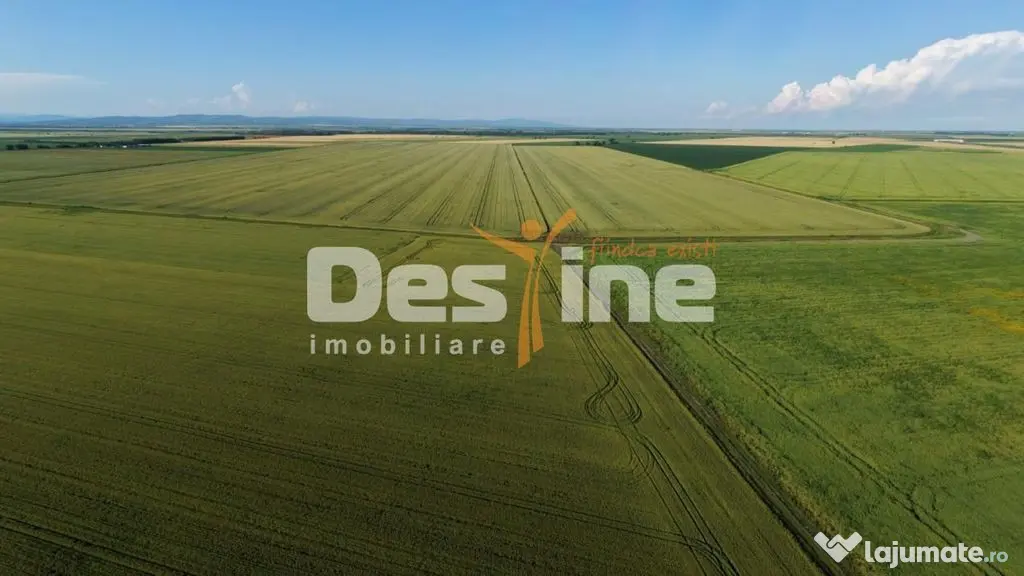 Teren extravilan, neimprejmuit, disponibil imediat, Dumbr... - Dumbrava (Prahova)