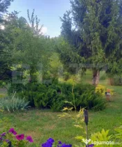 ???? OCNA DEJ – PROPRIETATE DEOSEBITĂ CU TEREN GENEROS Ș 