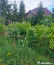 ???? OCNA DEJ – PROPRIETATE DEOSEBITĂ CU TEREN GENEROS Ș 