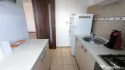 Dimitrie leonida maica tereza oltenitei 