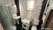 Dimitrie leonida maica tereza oltenitei 