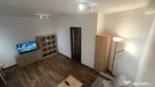 Dimitrie leonida maica tereza oltenitei 